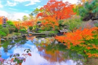 天守閣自然公園 小屋館跡庭園