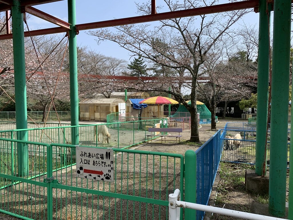 養老ランドの写真4