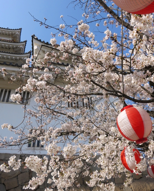 福山城博物館の写真4