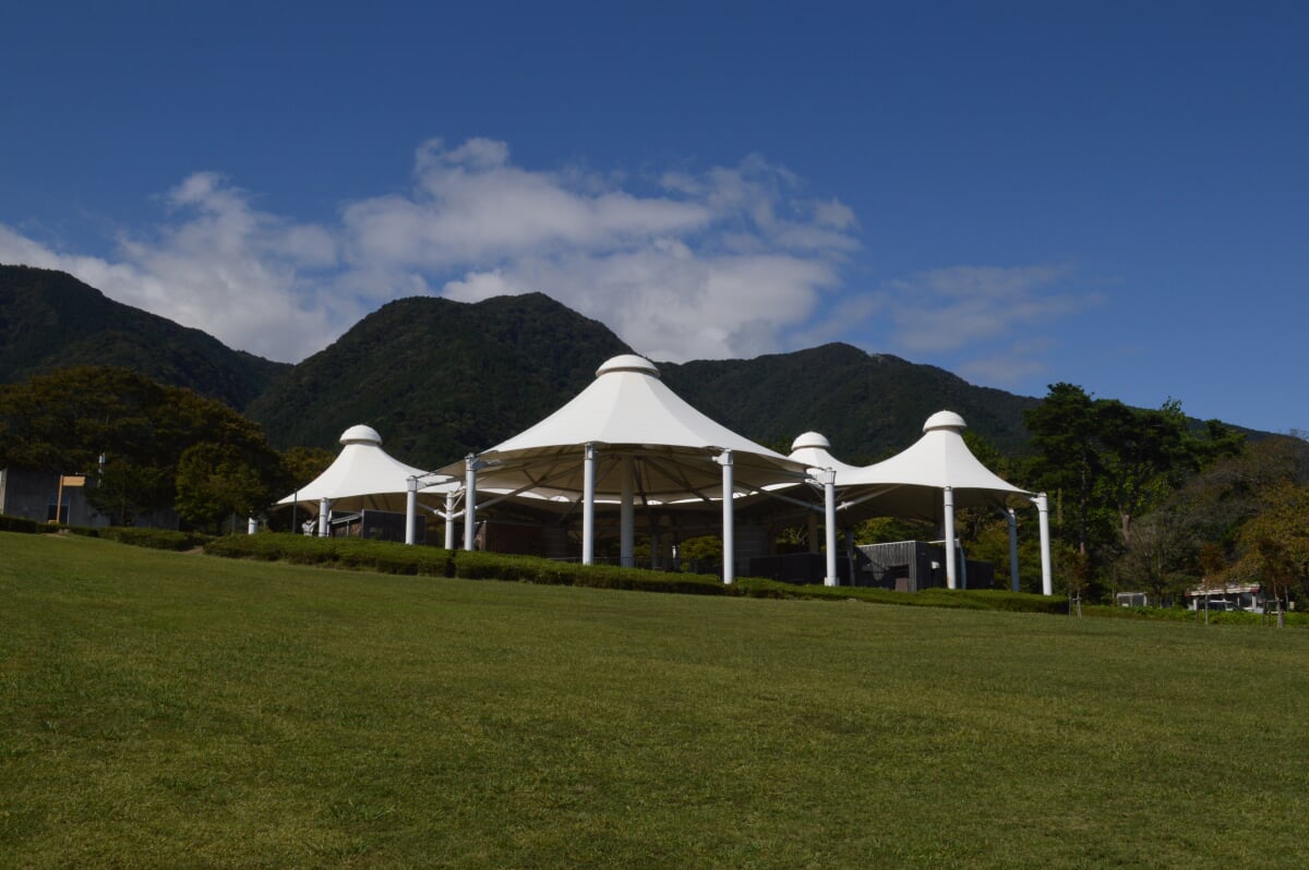 養老公園(岐阜県こどもの国)の写真2