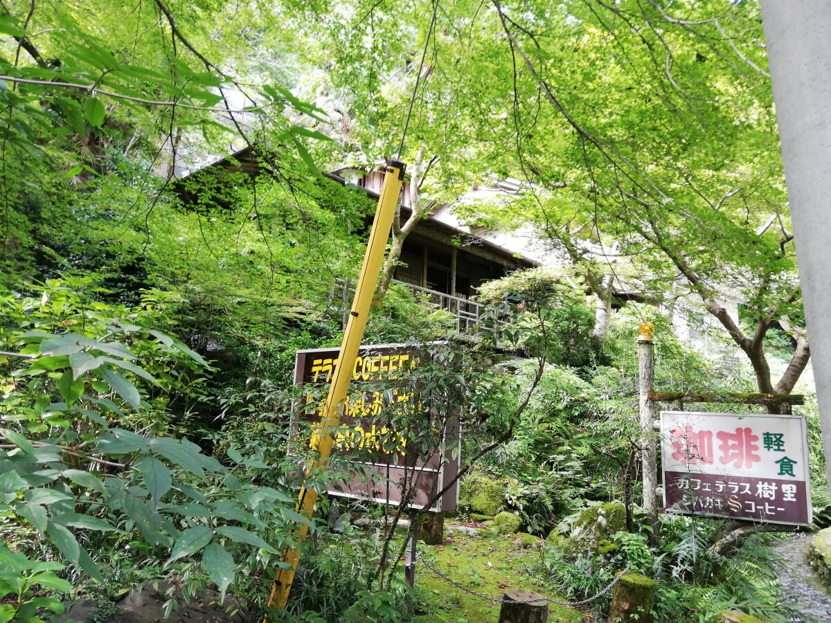 養老公園(岐阜県こどもの国)の写真4