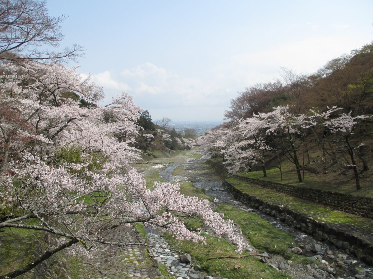 養老公園(岐阜県こどもの国)の写真8