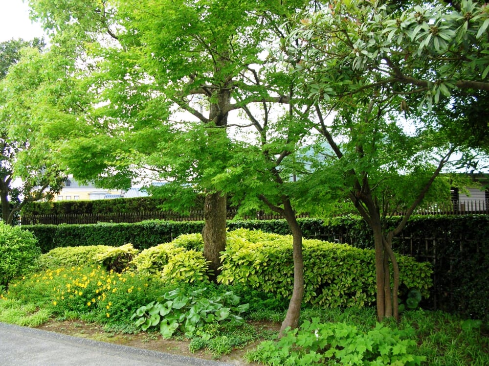 平山郁夫美術館の写真3