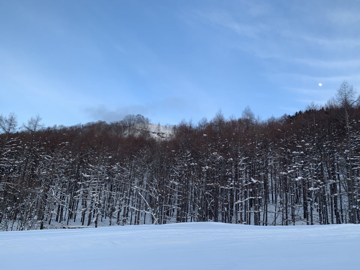 マウントレースイスキー場の写真3