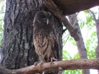 【閉園】ノースサファリサッポロ