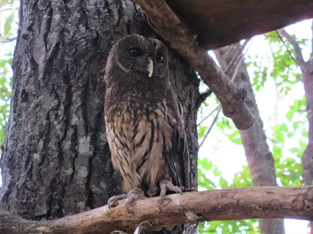 【閉園】ノースサファリサッポロの写真1