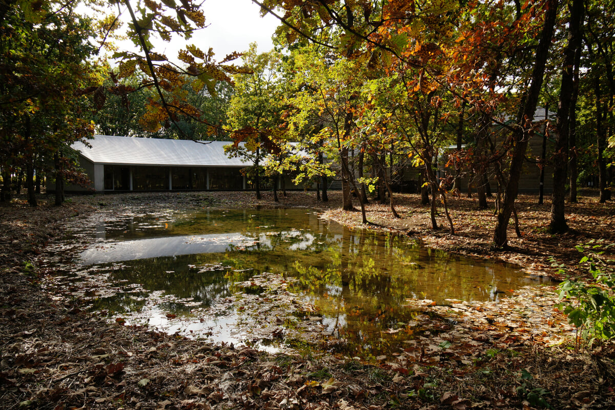 中札内美術村の写真9
