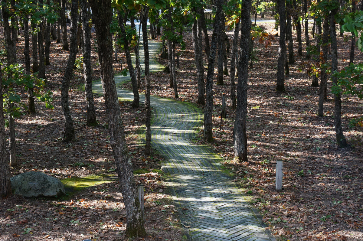 中札内美術村の写真10