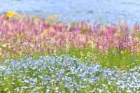 東武トレジャーガーデン