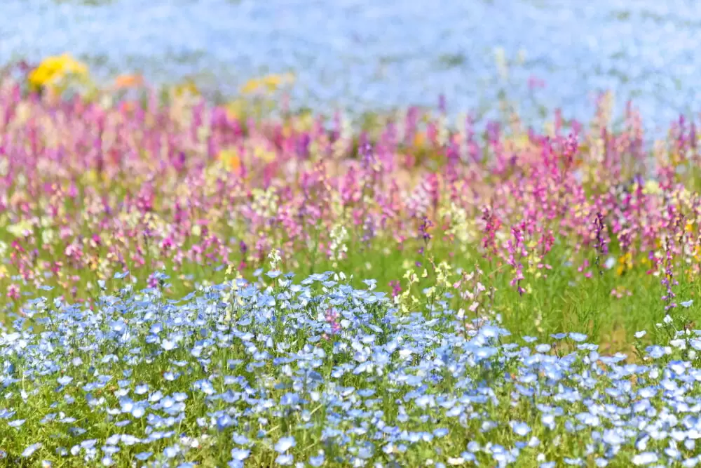 東武トレジャーガーデンの写真1