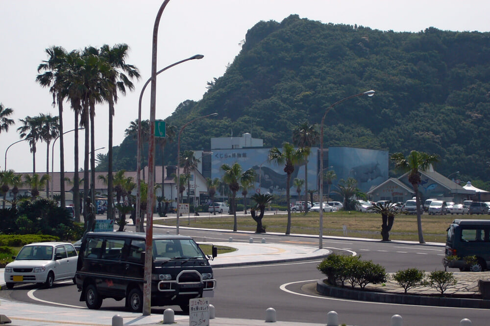 太地町立くじらの博物館の写真2