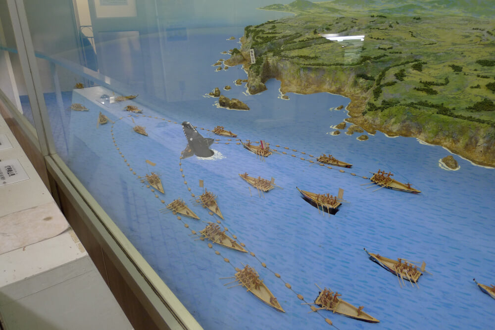 太地町立くじらの博物館の写真4