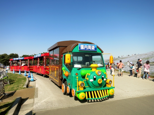 国営ひたち海浜公園の写真2