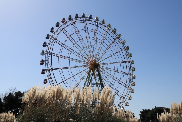 国営ひたち海浜公園の写真3