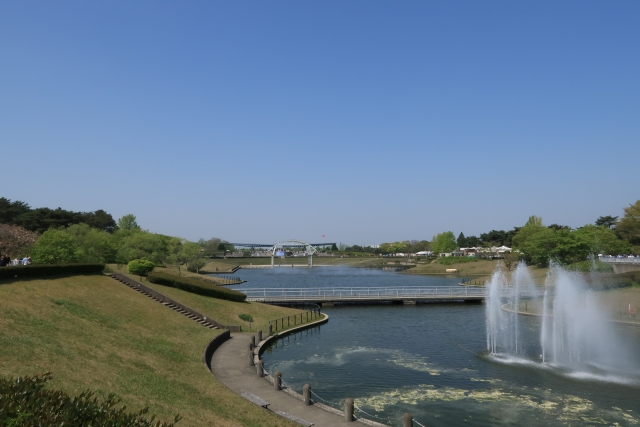 国営ひたち海浜公園の写真5