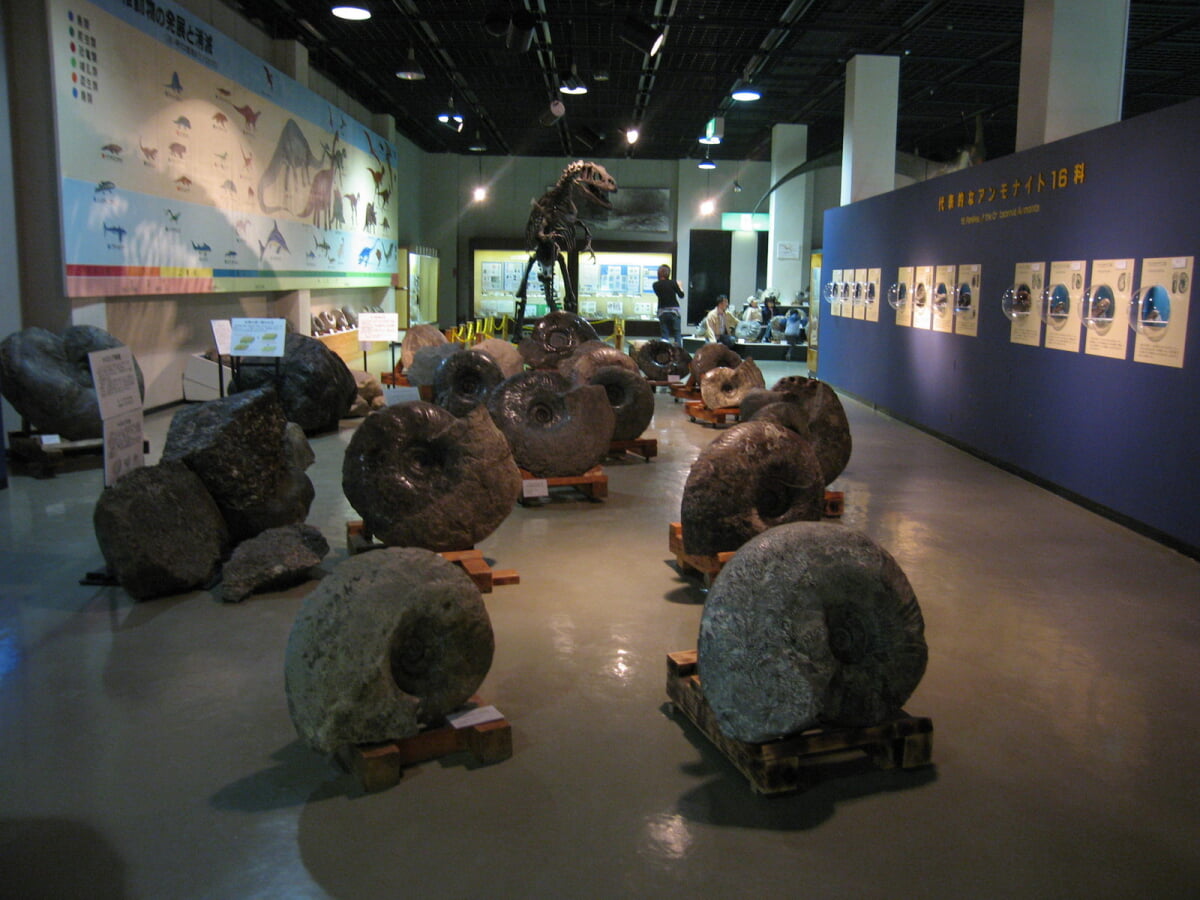 三笠市立博物館の写真1