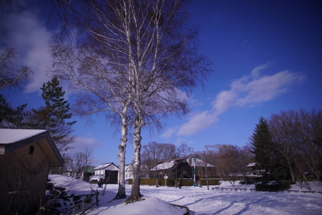 野外博物館 北海道開拓の村の写真4