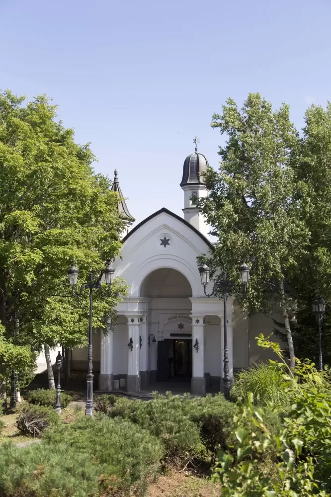 雪の美術館の写真1