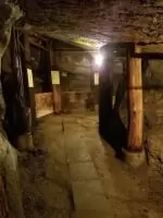 久慈琥珀博物館