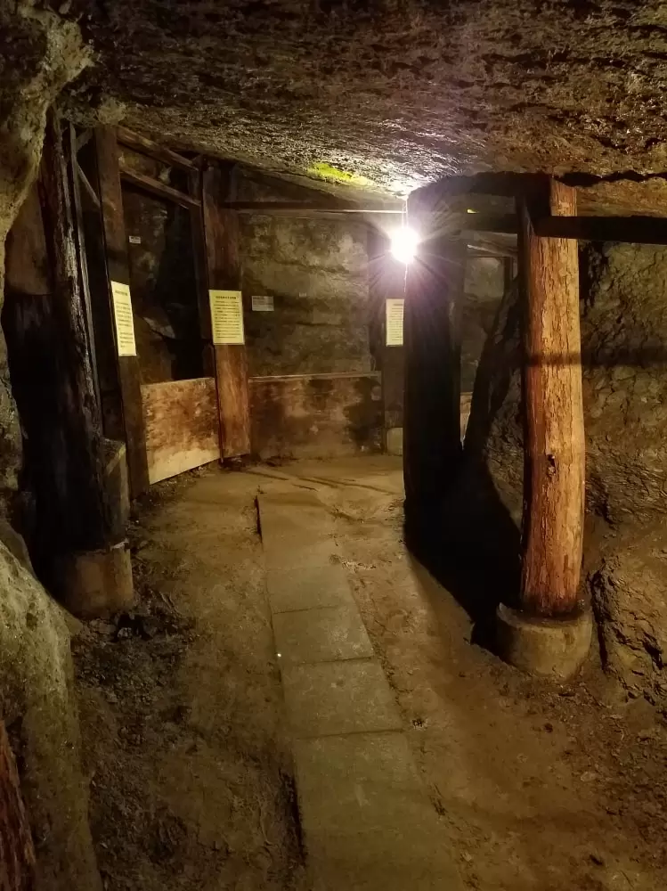 久慈琥珀博物館の写真1