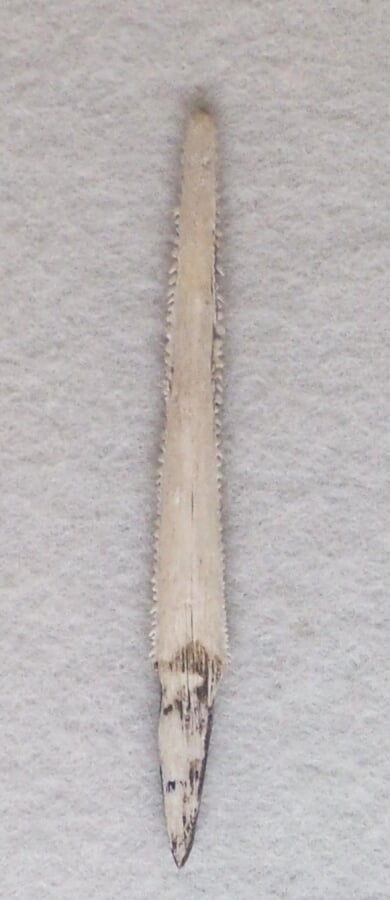 奥松島縄文村歴史資料館の写真2