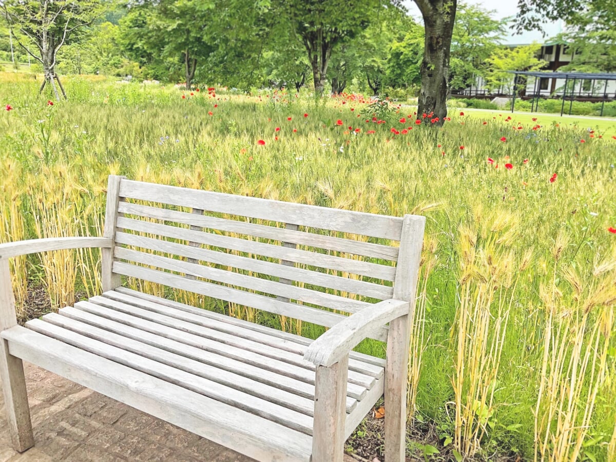 中之条ガーデンズの写真4