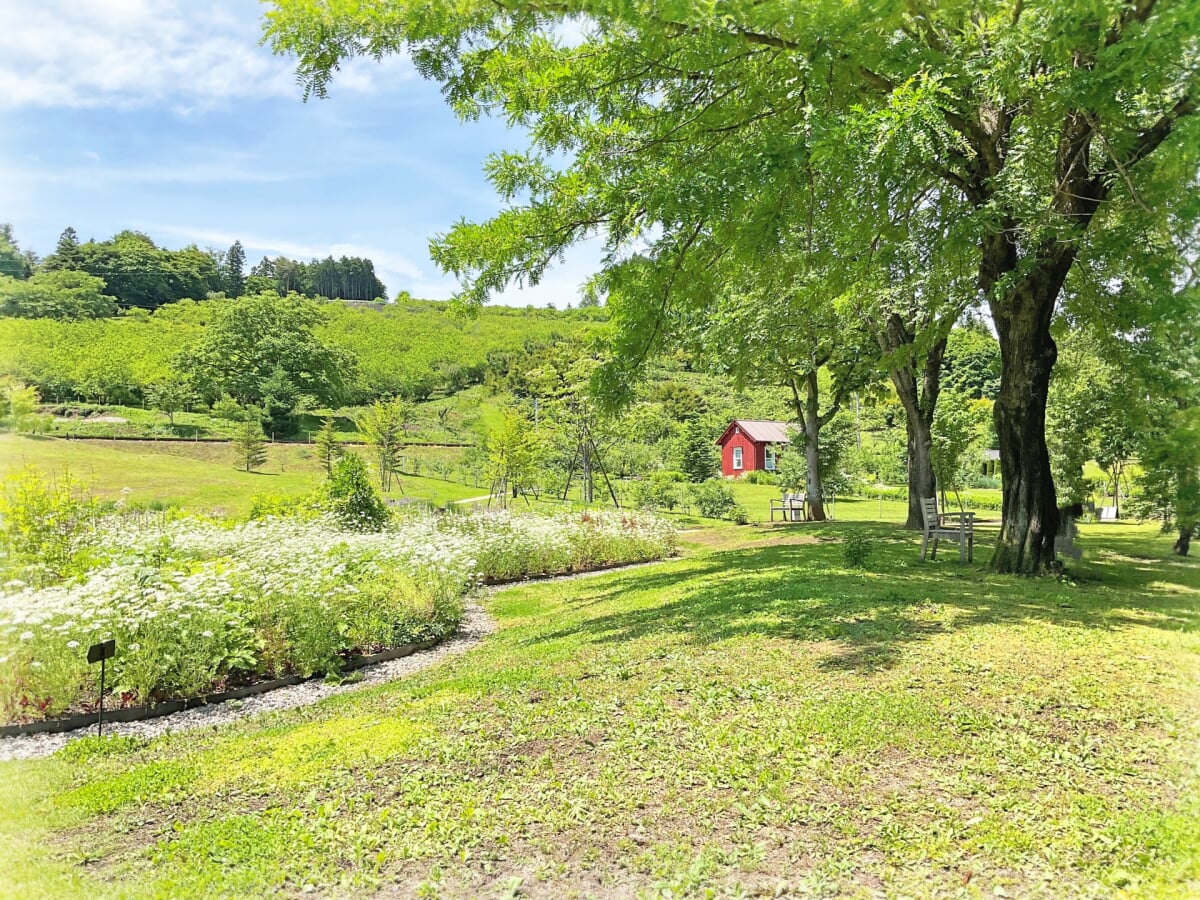 中之条ガーデンズの写真1