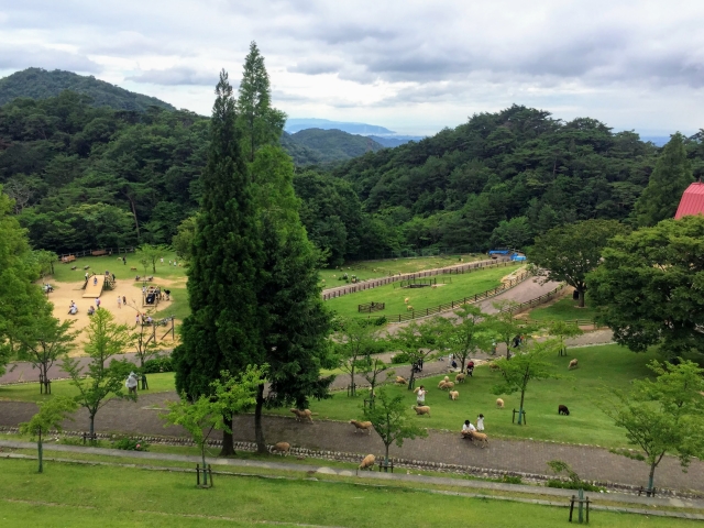 神戸市立六甲山牧場の写真2
