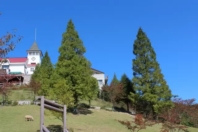 神戸市立六甲山牧場の写真1