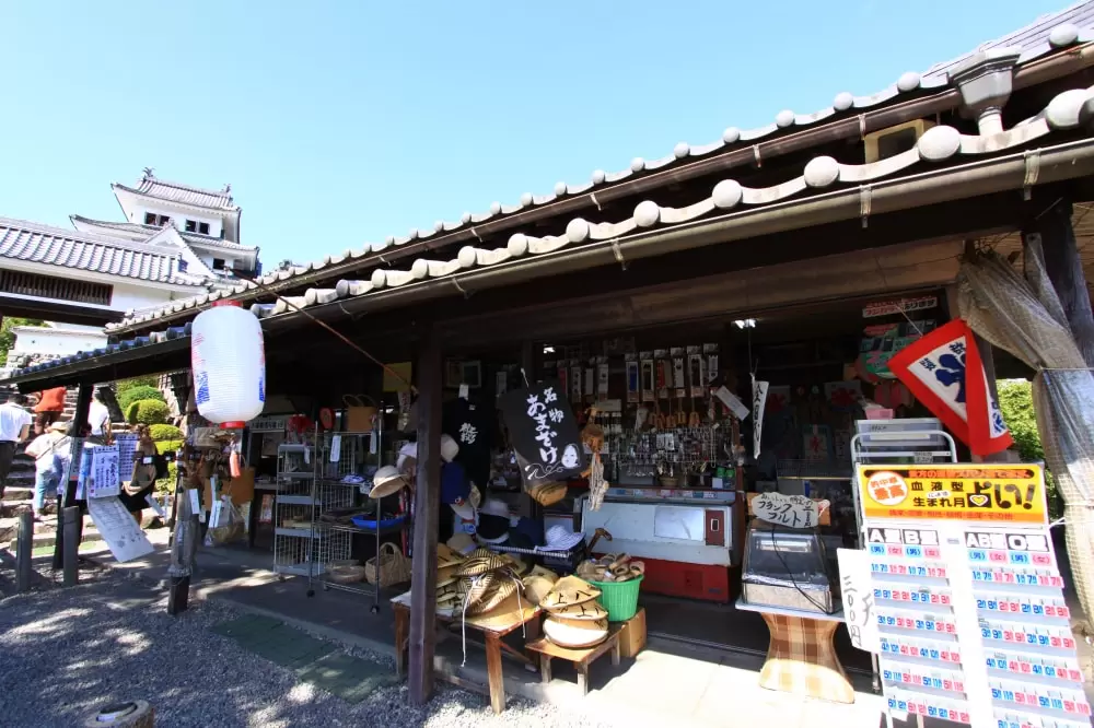 郡上八幡城の写真1