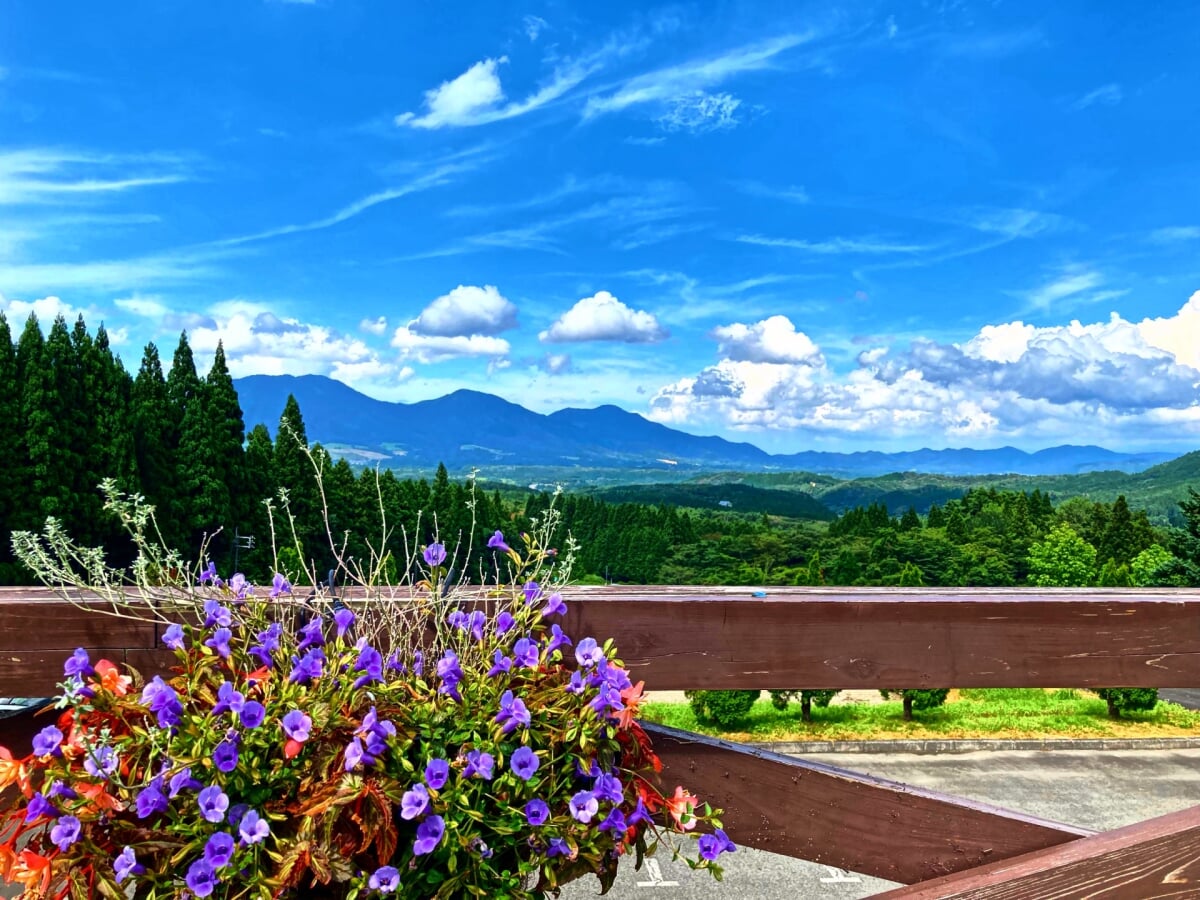 蒜山ハーブガーデン ハービルの写真2