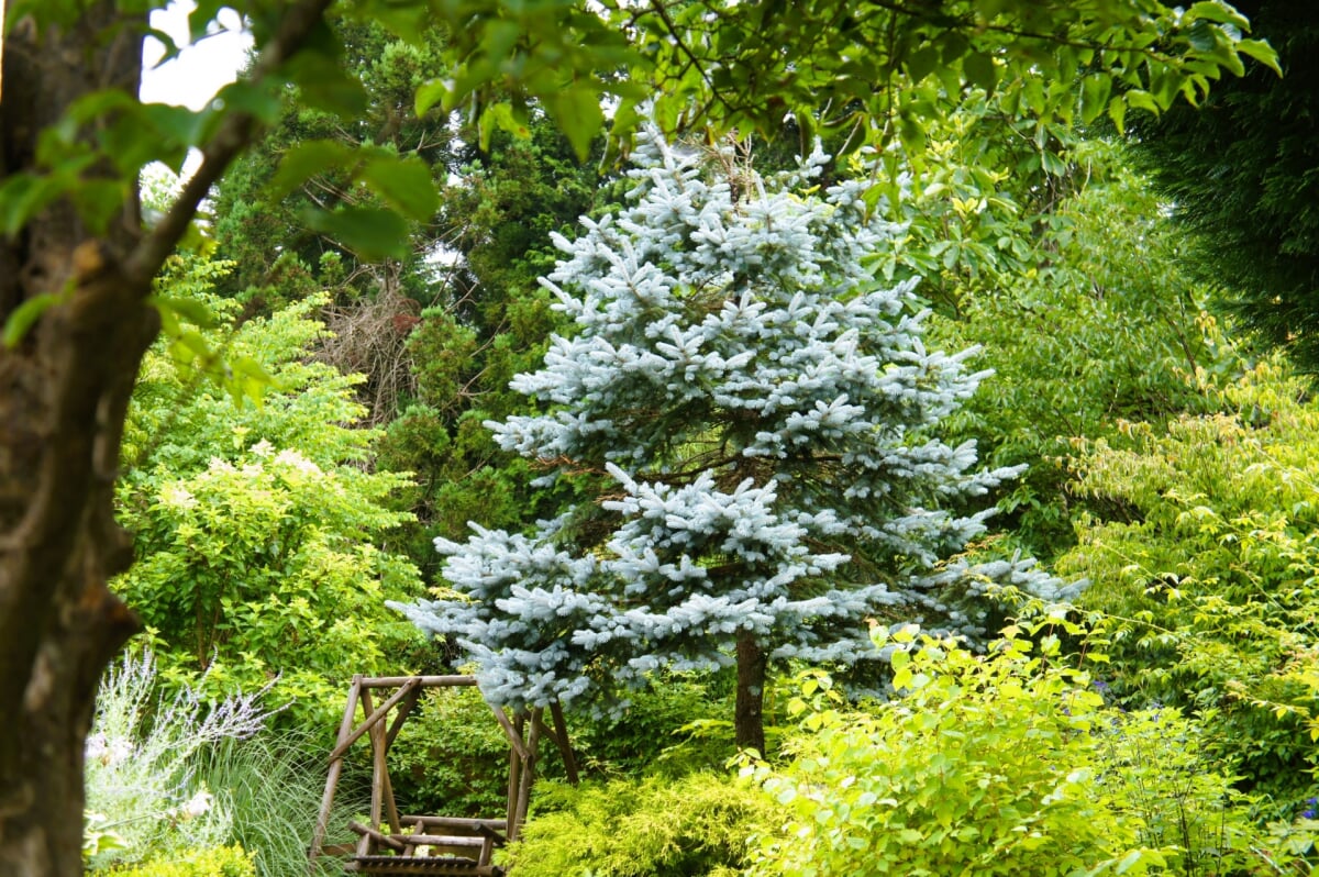 蒜山ハーブガーデン ハービルの写真3