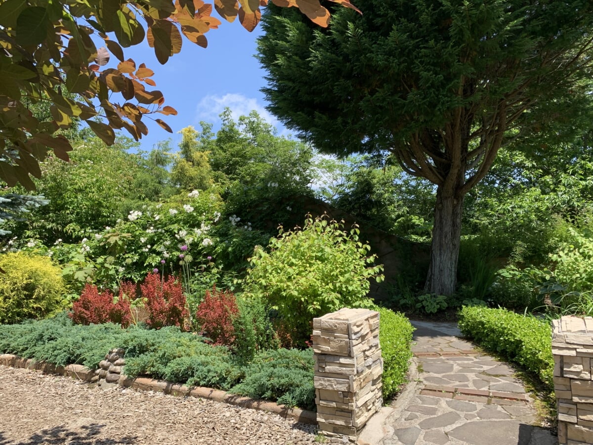 蒜山ハーブガーデン ハービルの写真4