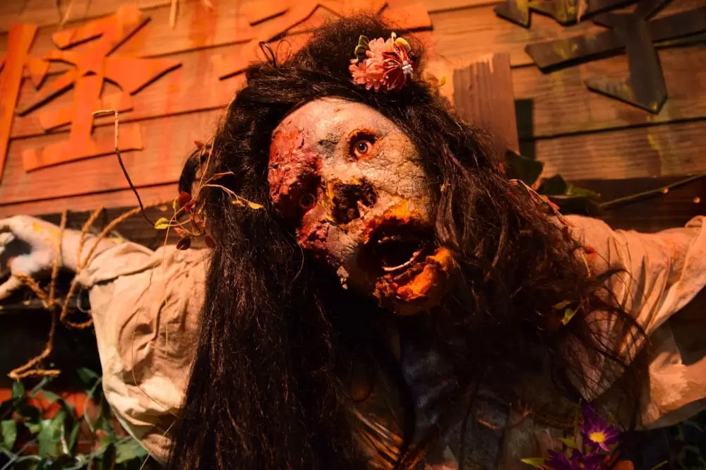 台場怪奇学校の写真1