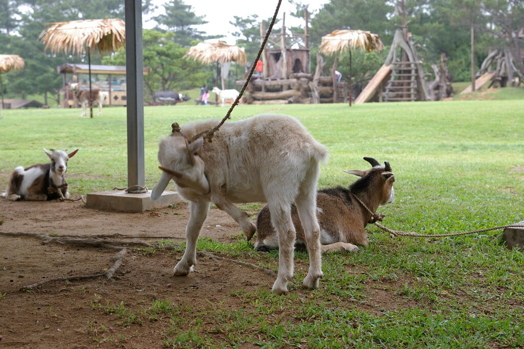 ビオスの丘の写真2