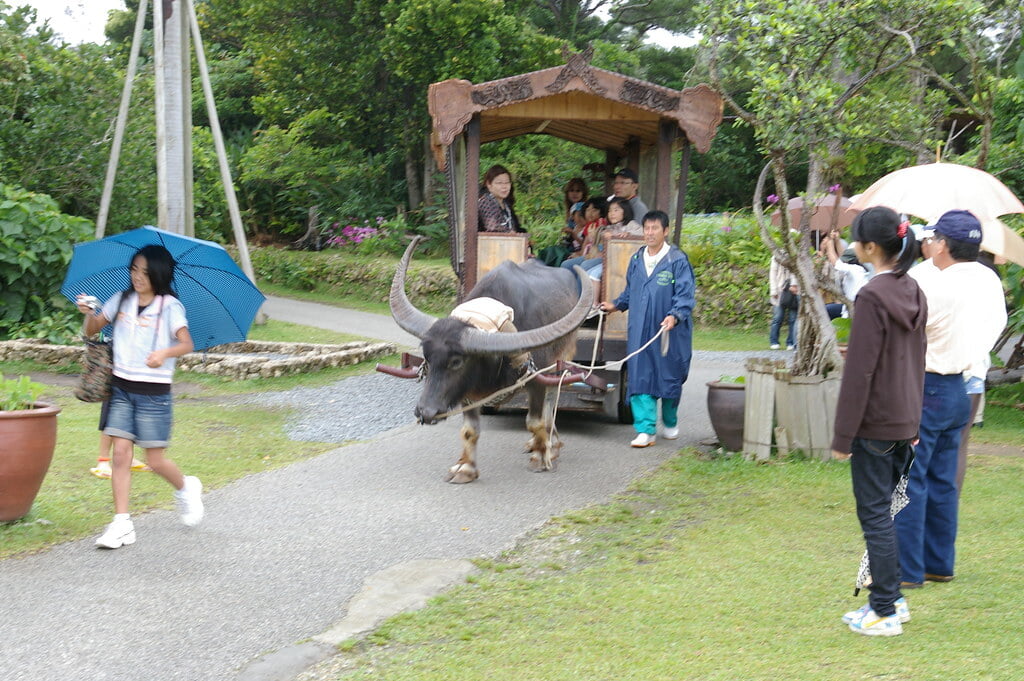 ビオスの丘の写真4