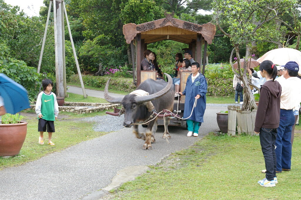 ビオスの丘の写真1