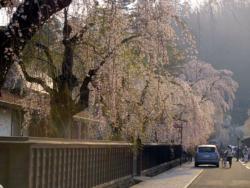 角館樺細工伝承館の写真2