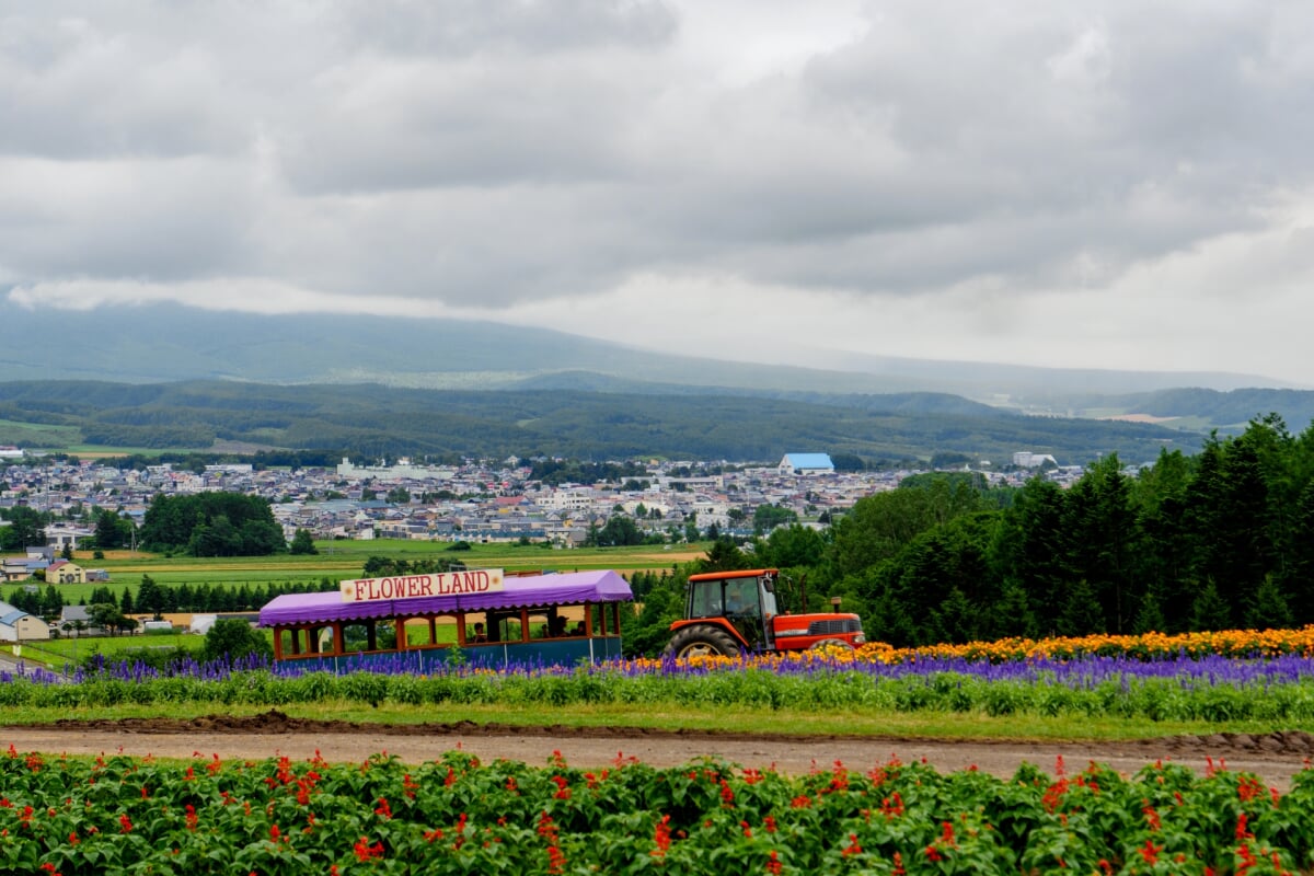フラワーランドかみふらのの写真2