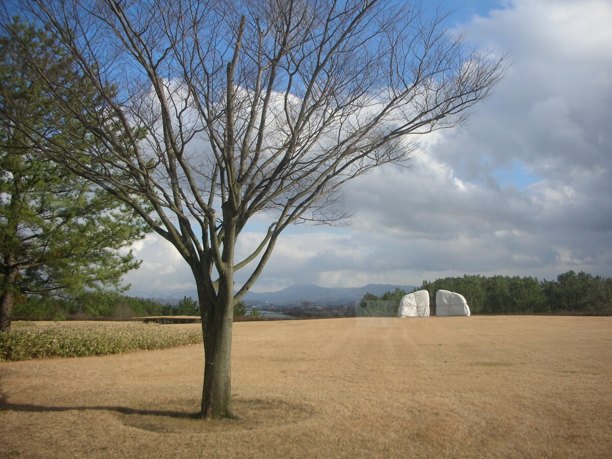 酒田市美術館の写真2
