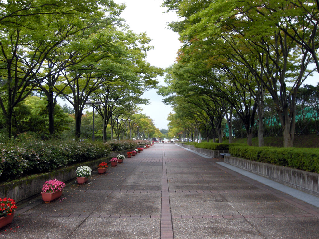 土門拳記念館の写真3