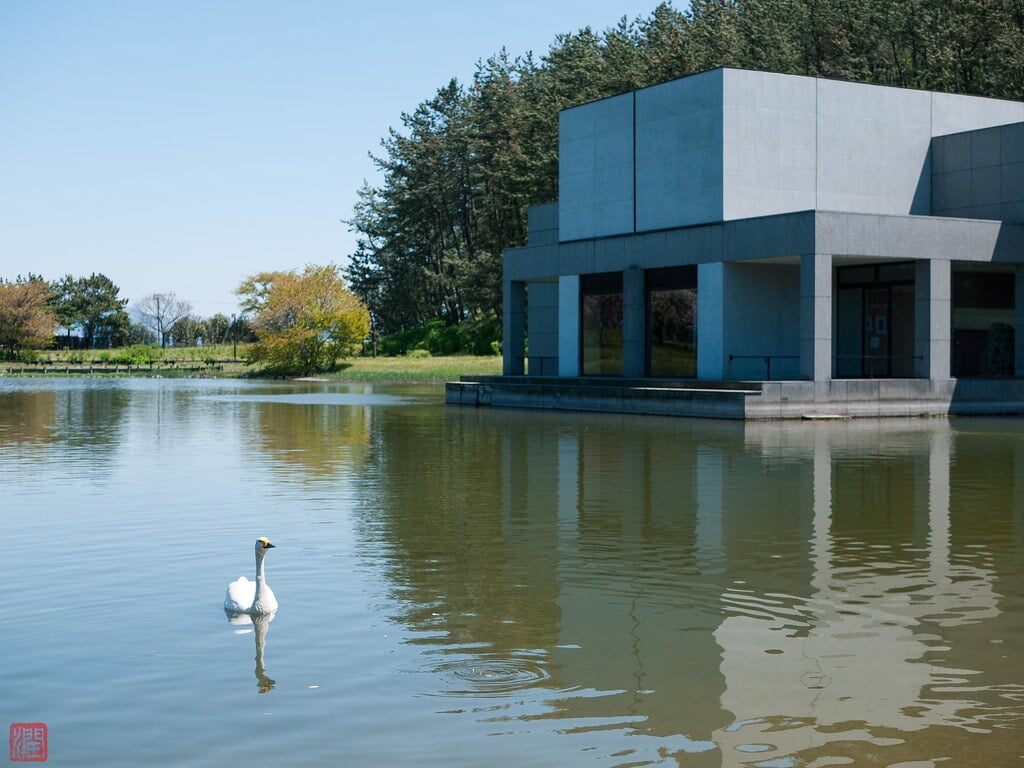 土門拳記念館の写真7