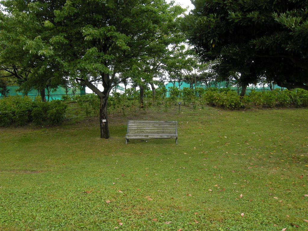 土門拳記念館の写真11