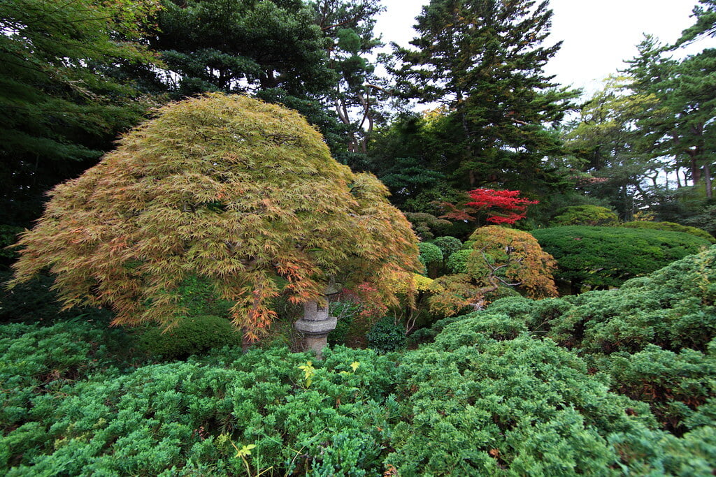 本間美術館の写真10
