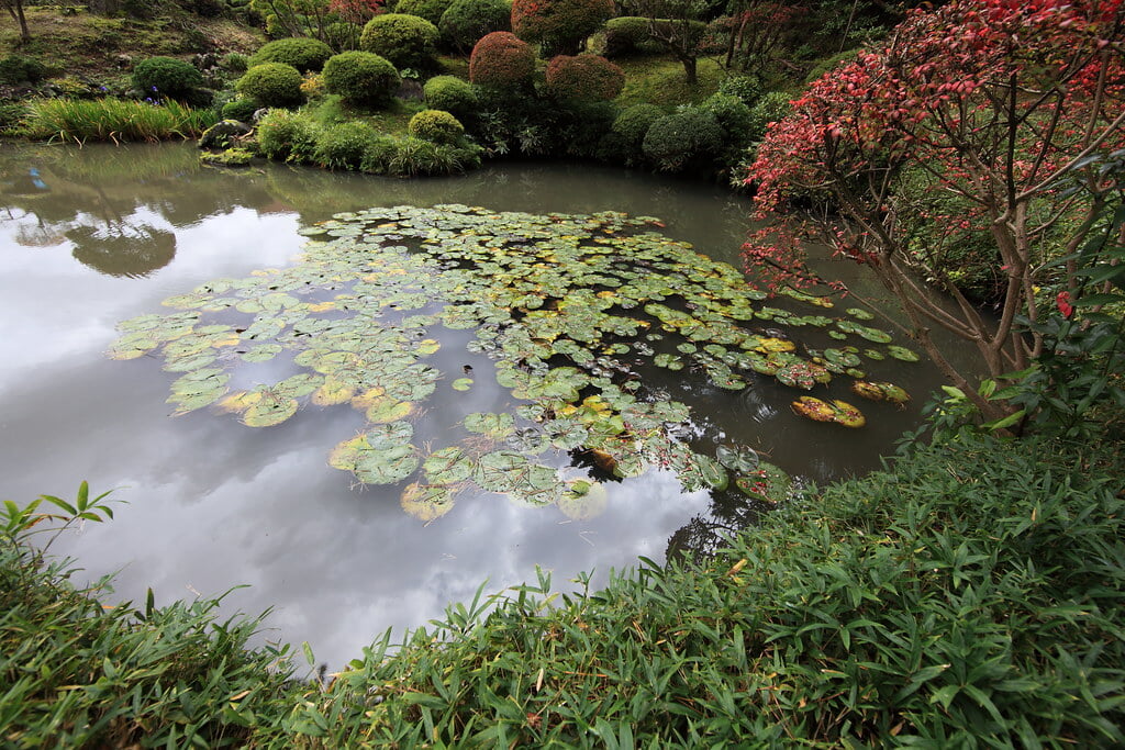 本間美術館の写真13