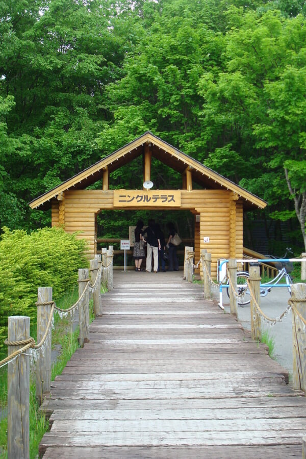 ニングルテラスの写真11