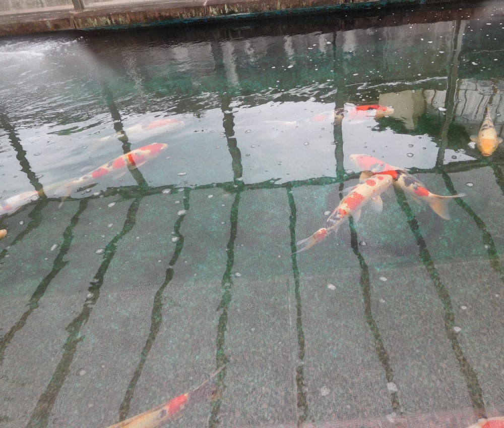 とちぎ山車会館の写真3