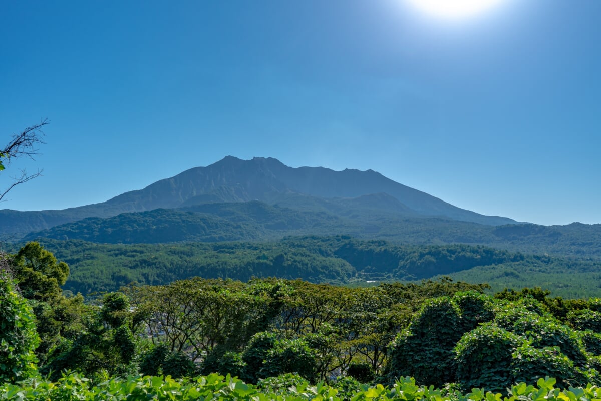 桜島自然恐竜公園の写真2