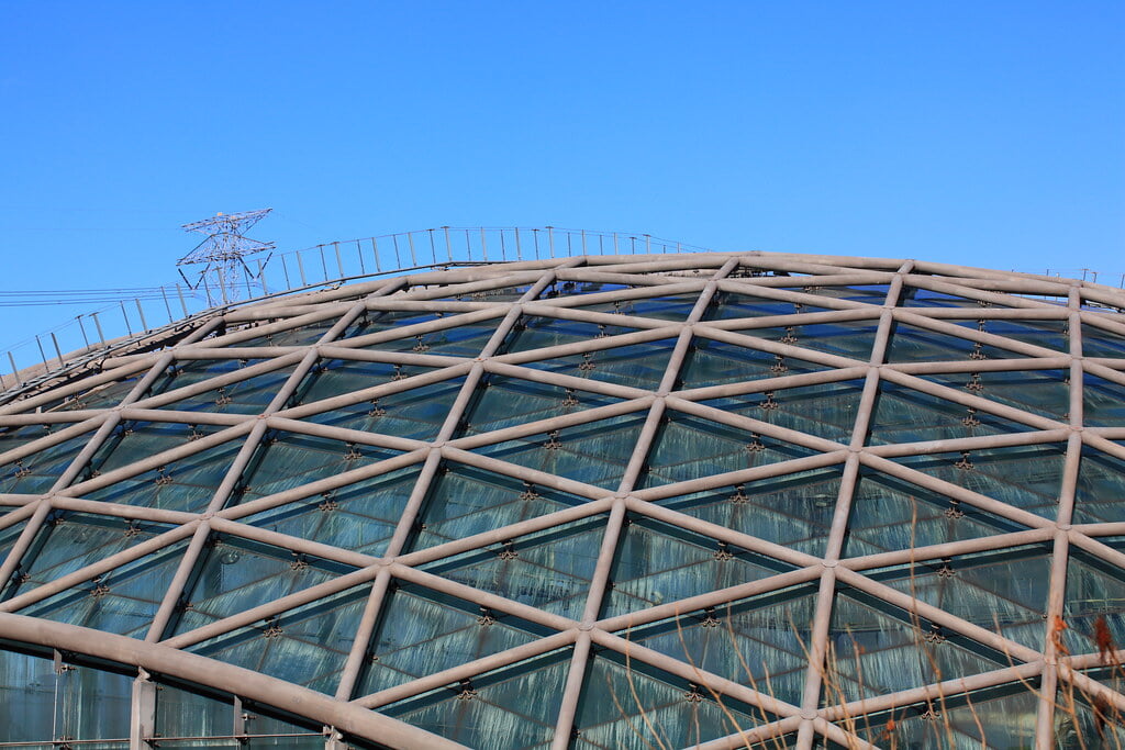 群馬県立ぐんま昆虫の森の写真3