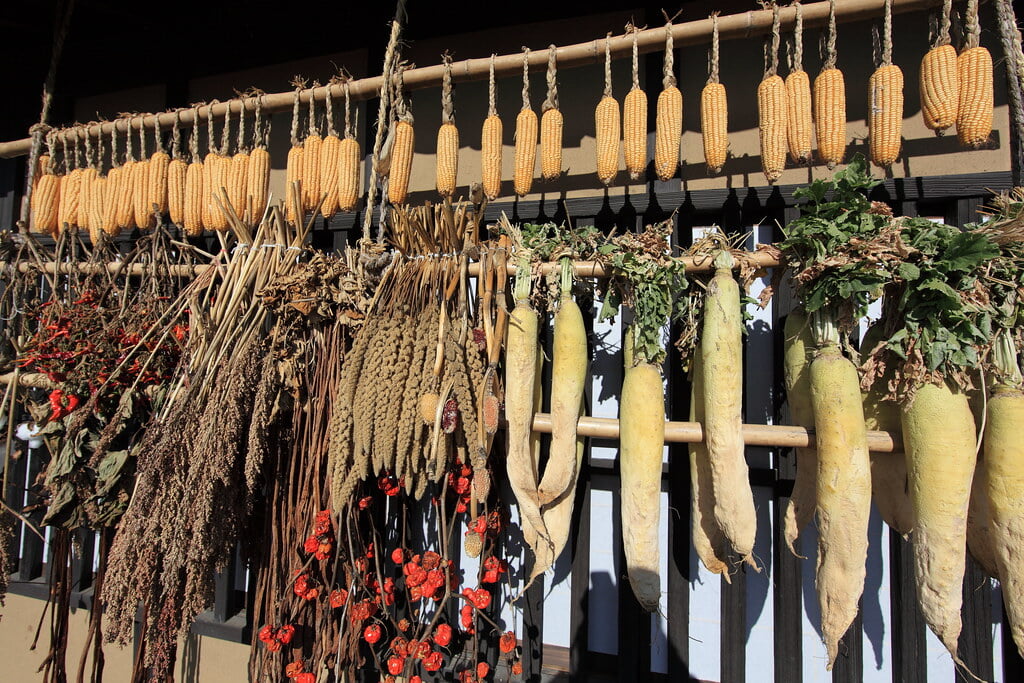 群馬県立ぐんま昆虫の森の写真8